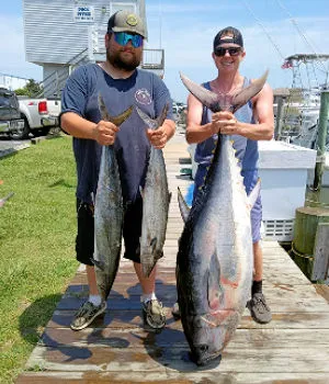 Bluefin tuna and wahoo on this charter trip.