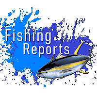 Fishing Reports Logo